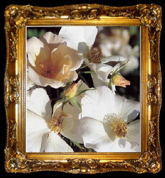 framed  unknow artist Still life floral, all kinds of reality flowers oil painting  388, ta009-2